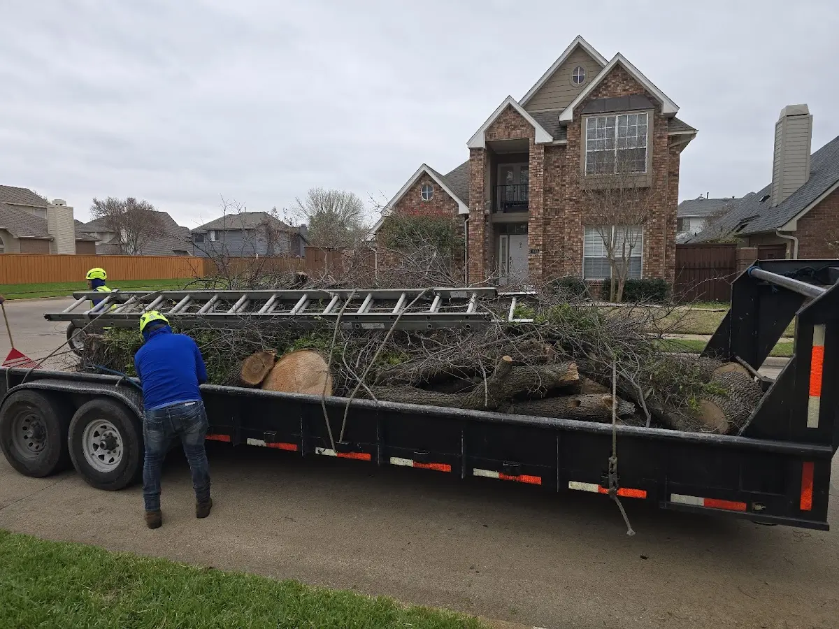 Expert Tree Fertilization with proper safety equipment in Rock Falls
